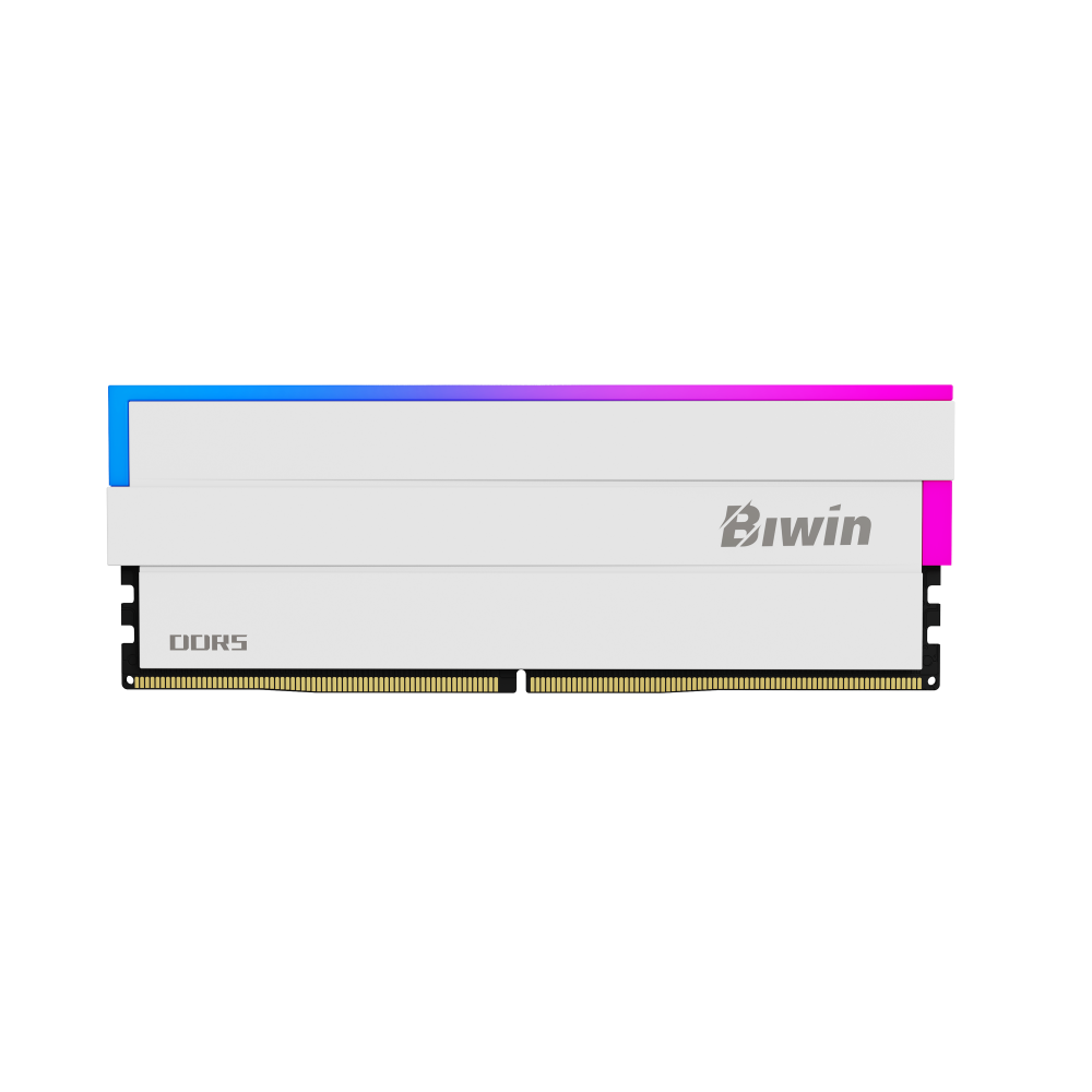 Biwin DW100 módulo de memoria 32 GB 2 x 16 GB DDR5