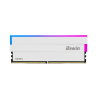Biwin DW100 módulo de memoria 32 GB 2 x 16 GB DDR5