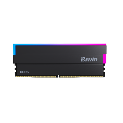 Biwin DW100 módulo de memoria 32 GB 2 x 16 GB DDR5