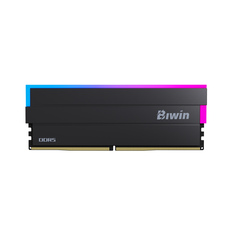 Biwin DW100 módulo de memoria 32 GB 2 x 16 GB DDR5
