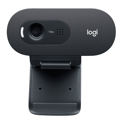 Logitech C505e cámara web 1280 x 720 Pixeles USB Negro