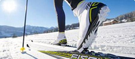 Sport & Outdoors